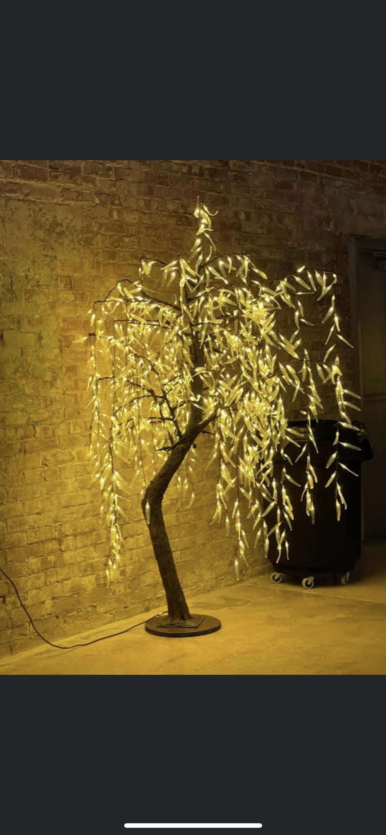 Christmas Lighting, lights in trees, bushes, walkways