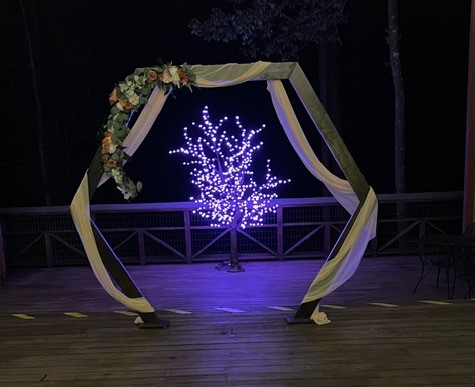 Led trees